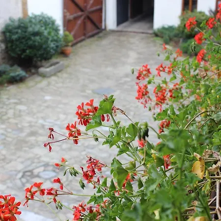 Guest house U Veterana
