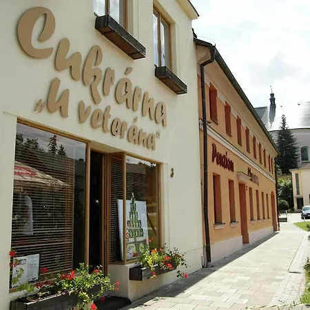 Guest house U Veterana