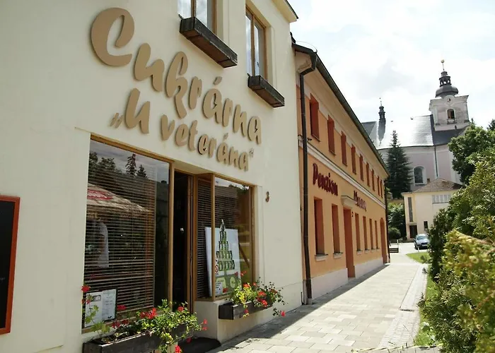Pensjonat U Veterana